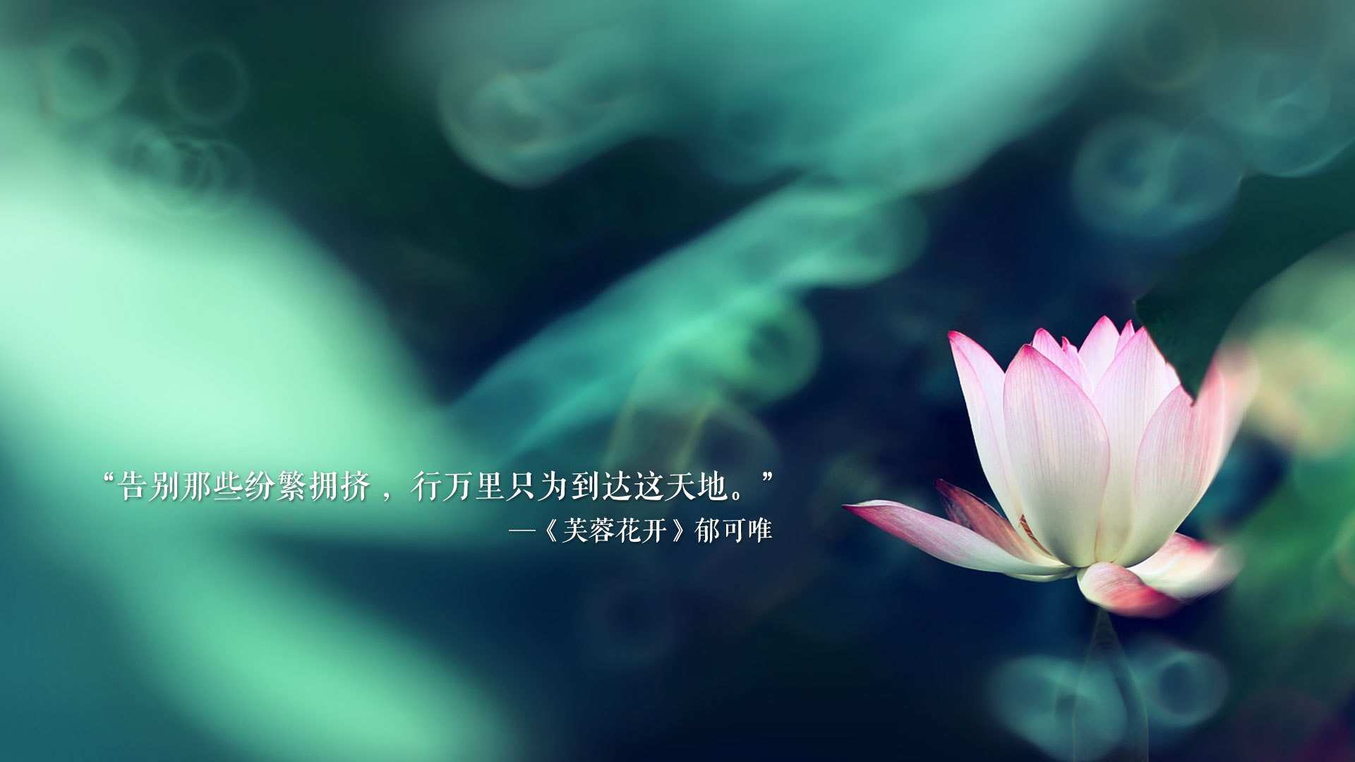 足协启动校园足球联赛计划，校际足球联赛报道