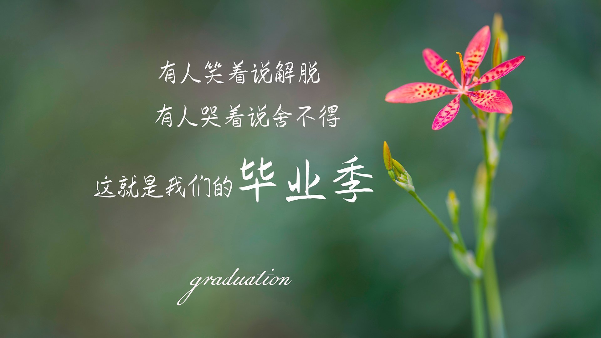 LEC联盟发布2025赛季赛事安全指南，lec赛区赛制