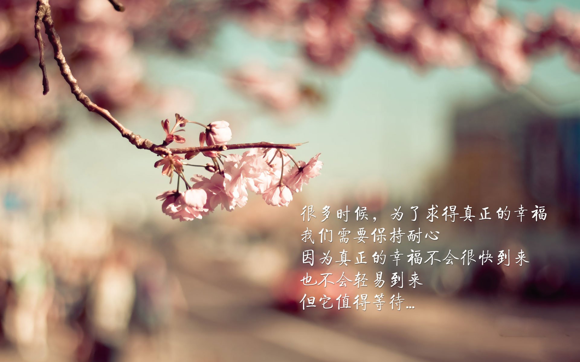 原州东浦新世代赛季连胜提升信心
