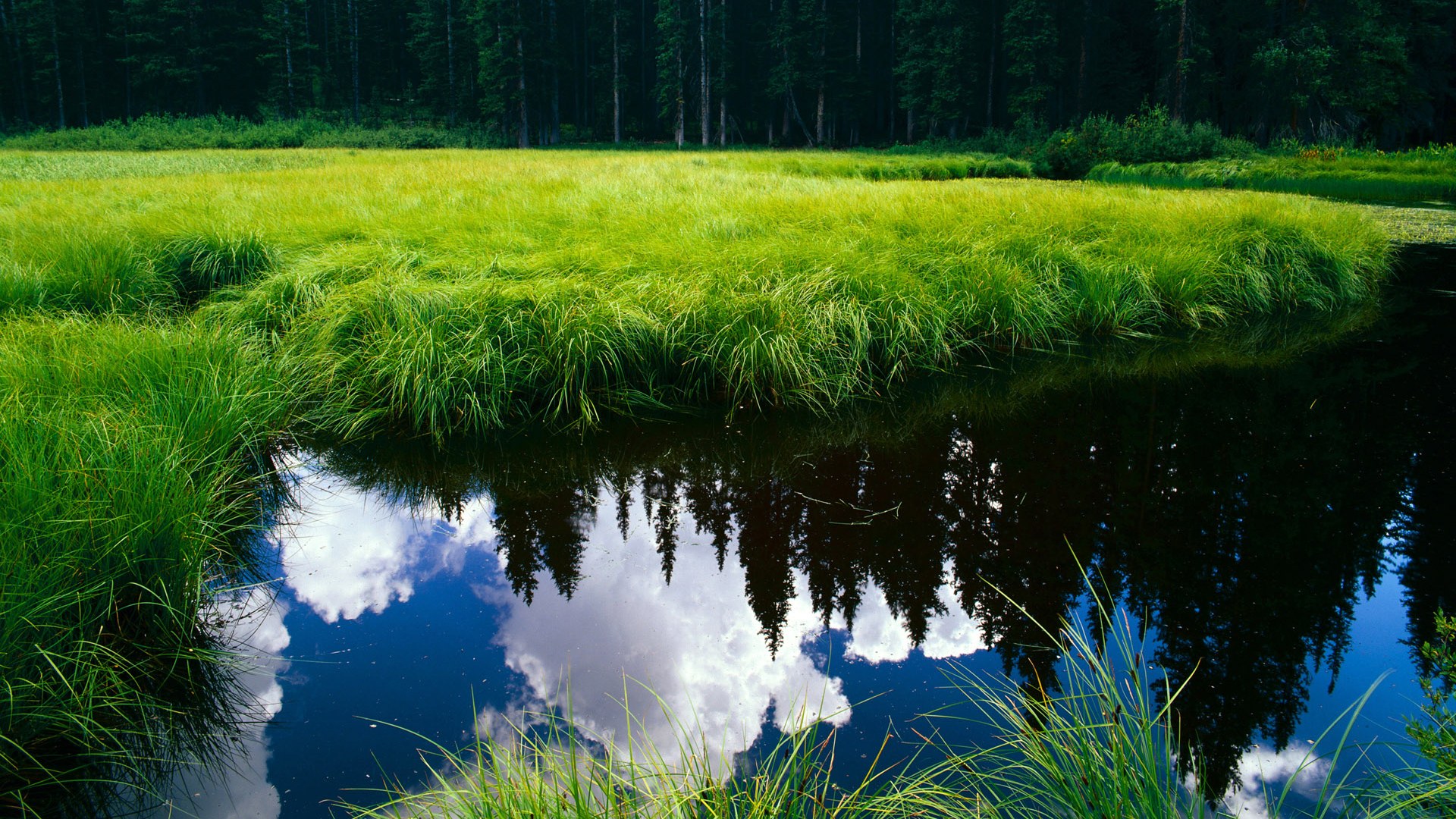 西甲边后卫冲击三前锋战术表现评估，西甲最强后卫