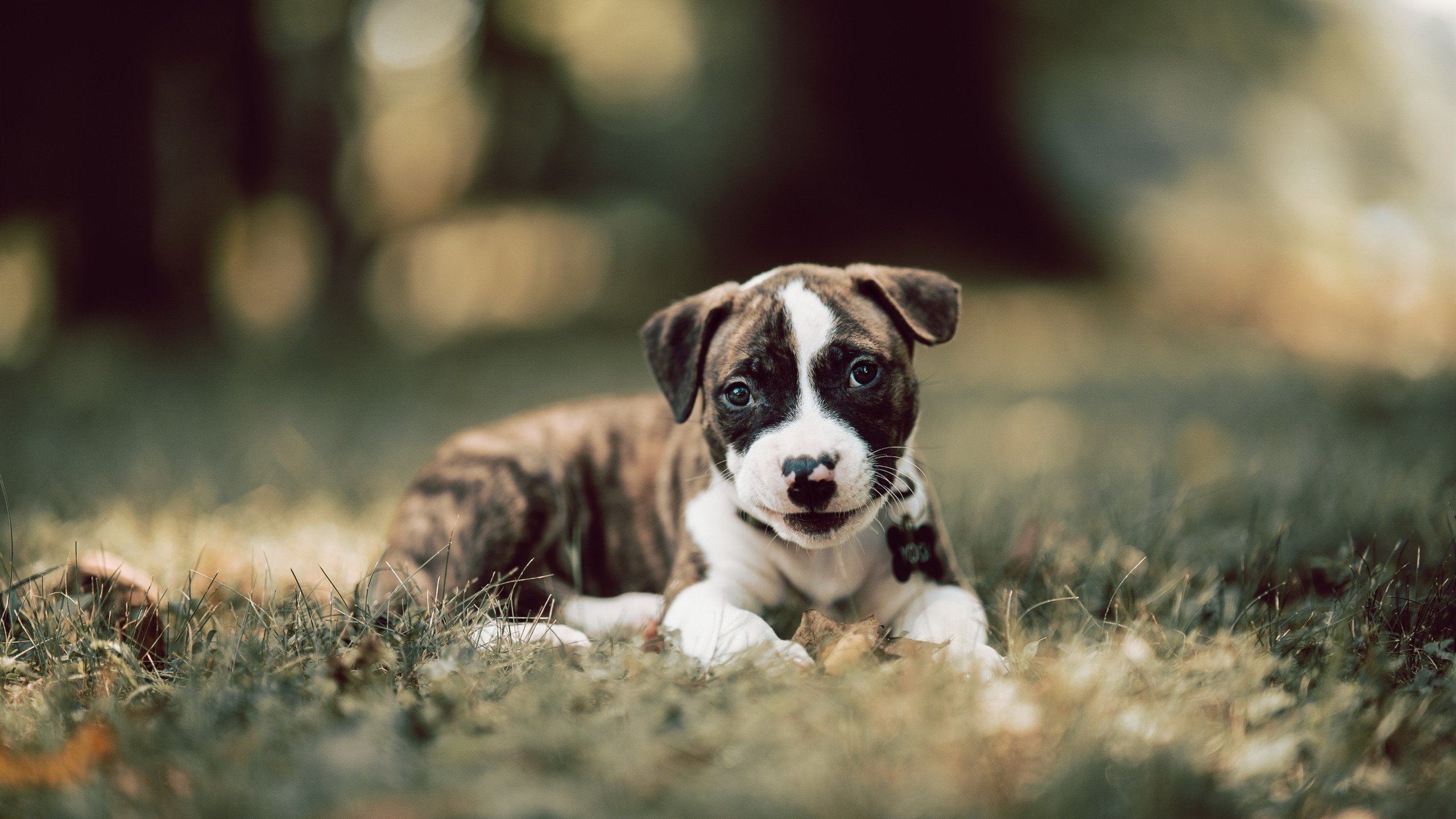 CBA赛季赛程公布 球迷期待火爆对决,cba赛程表季后赛时间表