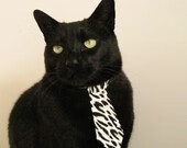 中国女篮注重团队协作与快速轮转,中国女篮阵容分析