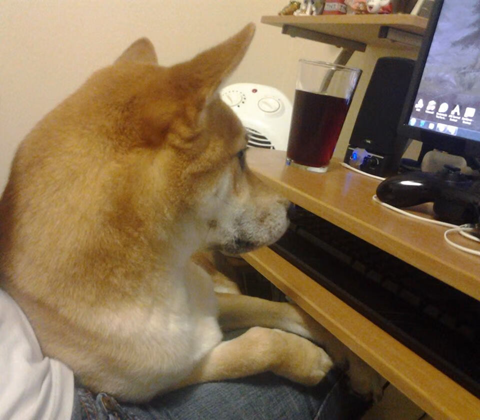 体育新闻中心主办体育数字版权保护法律论坛，体育法网