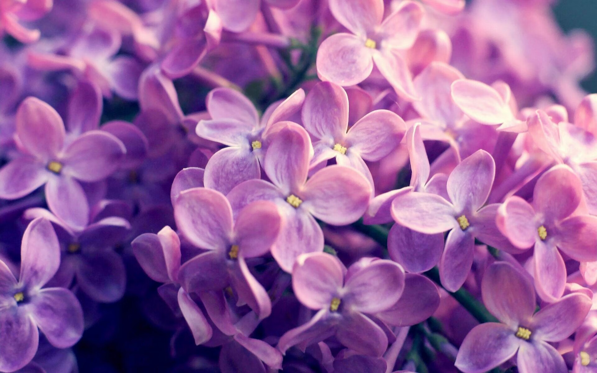 体育新闻中心荣获体育科技创新大奖,体育创新项目