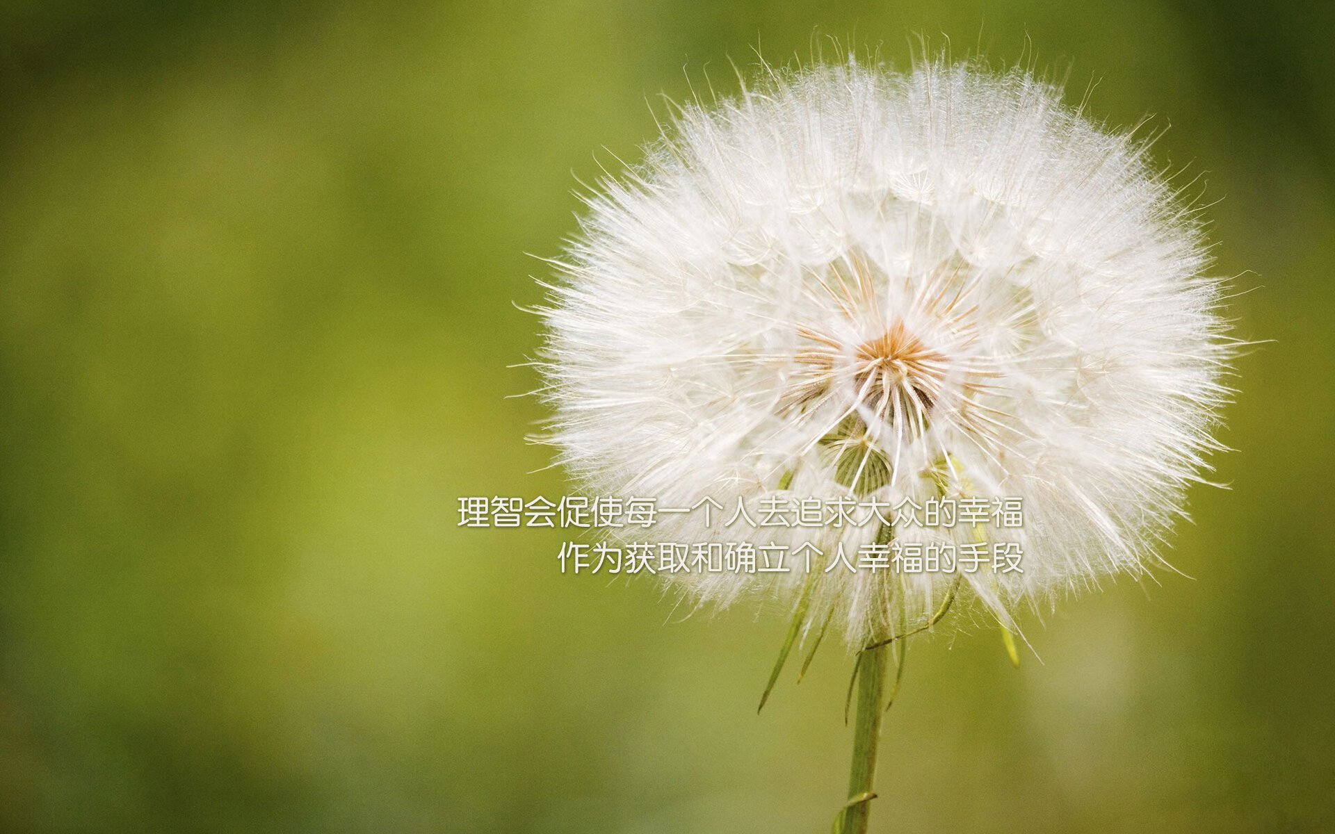 国际热身赛U23国足爆冷 技战术遭受质疑,6月2日国足热身