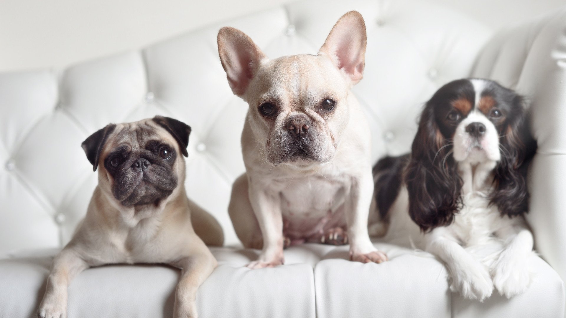 女子篮球推动科学训练周期管理提高持续竞技力,女生篮球训练计划详细