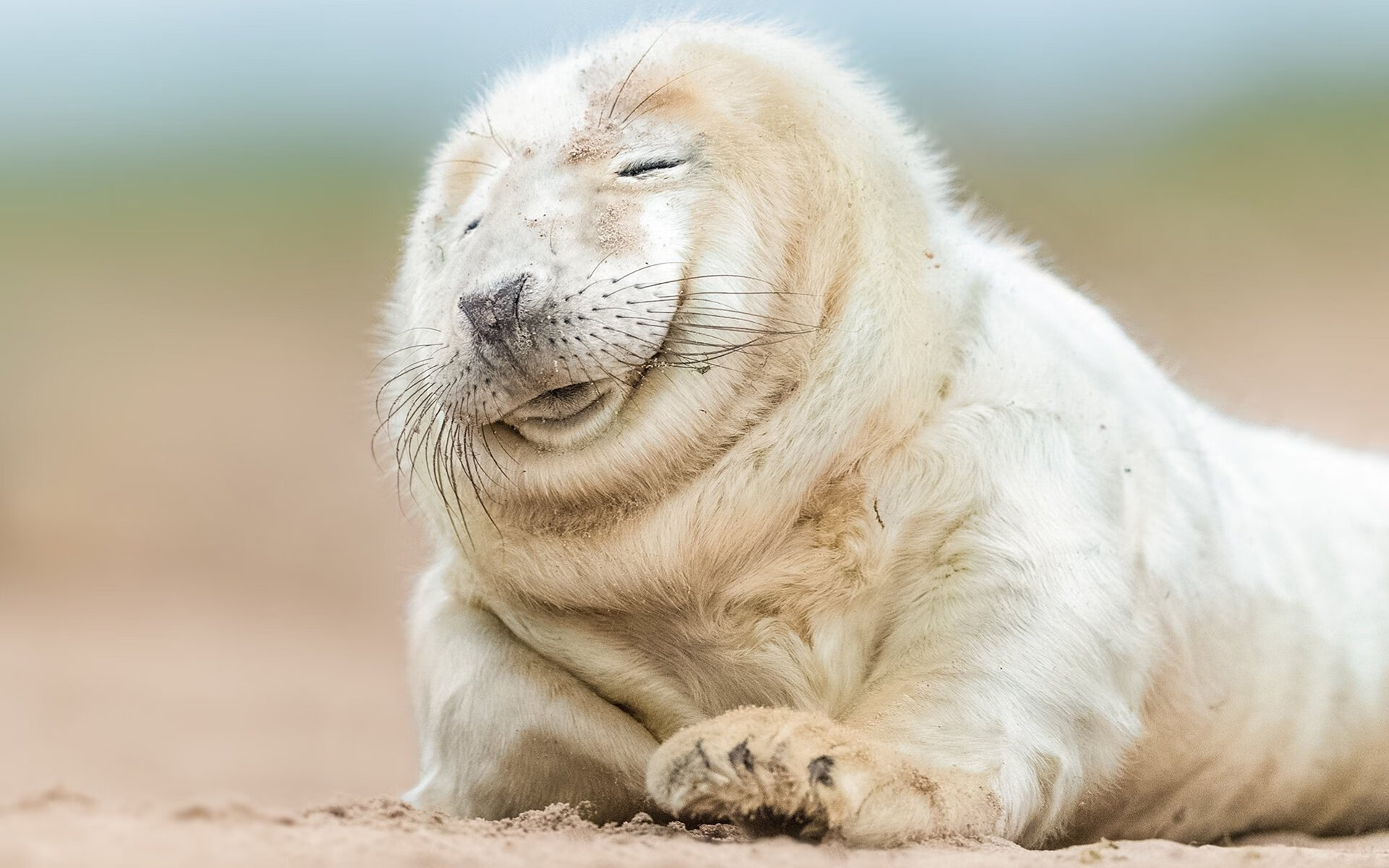 篮球教练员继续教育体系不断完善提升教学水平和能力,篮球教练员培训班理论考试