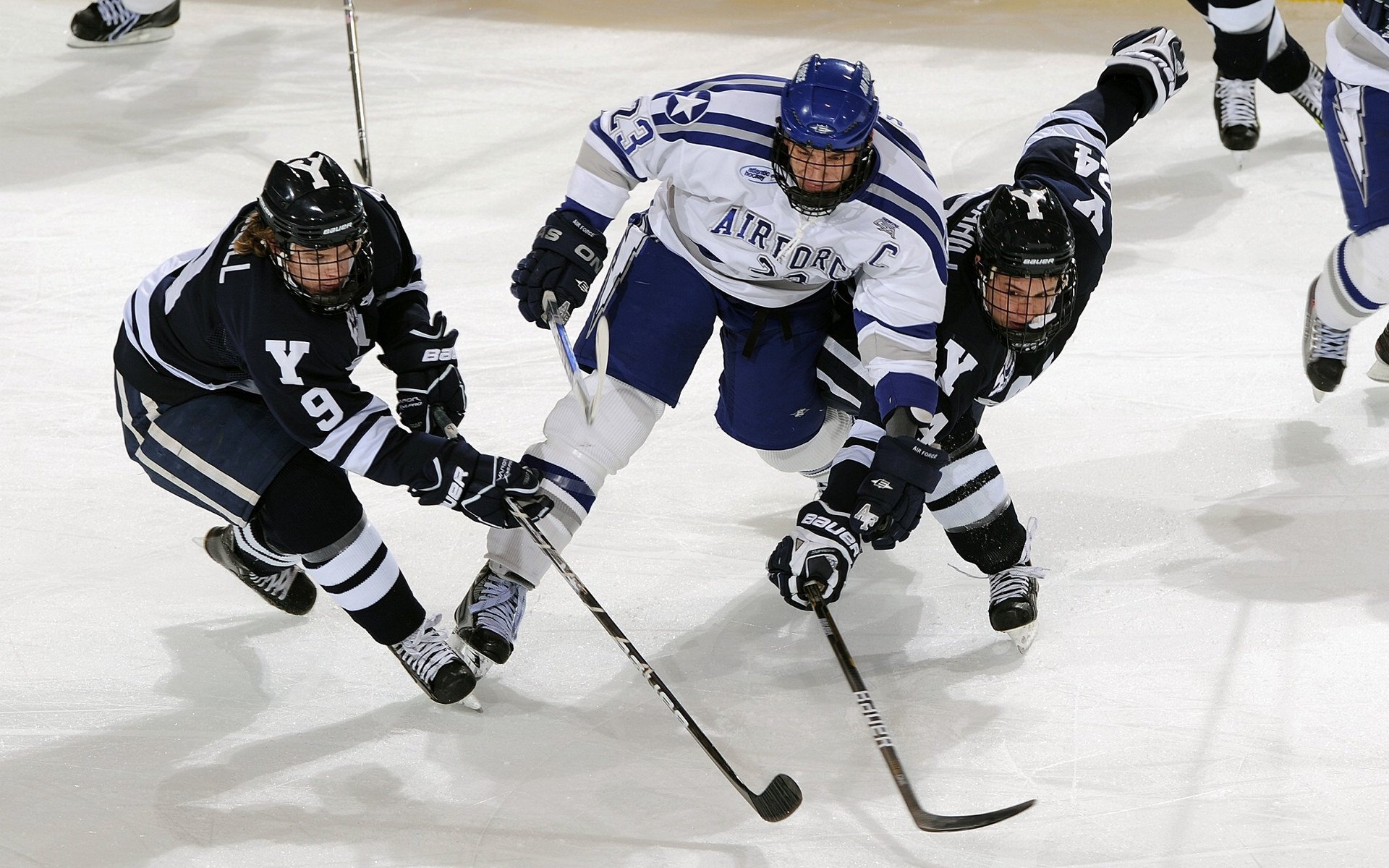 igame vip-天赋异禀：挡不住的赛场明星，天赋异禀的演员名单